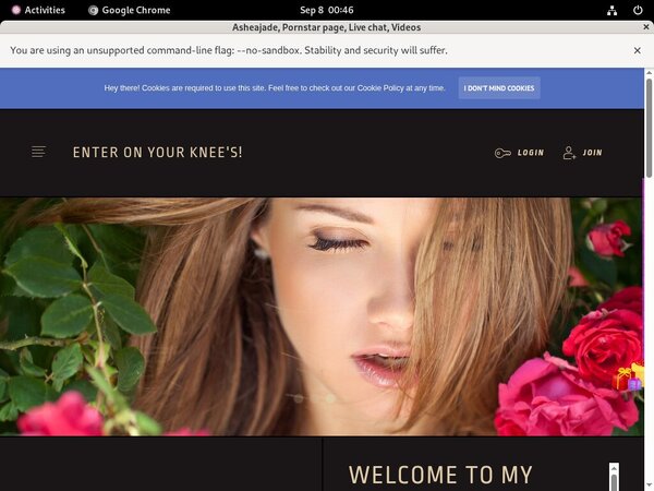 Asheajade Daily Passwords