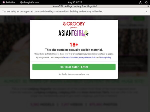 How To Get Into Ladyboy-ladyboy.com Free
