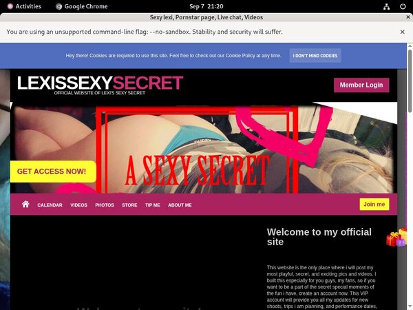 Lexissexysecret.modelcentro.com Store