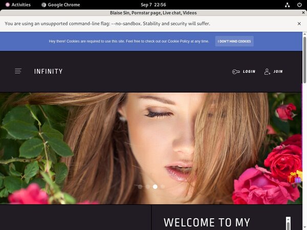 1blaisesin.modelcentro.com Hacked Accounts