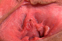 All Gape My Pussy s0