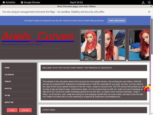 Ariel Pornstars
