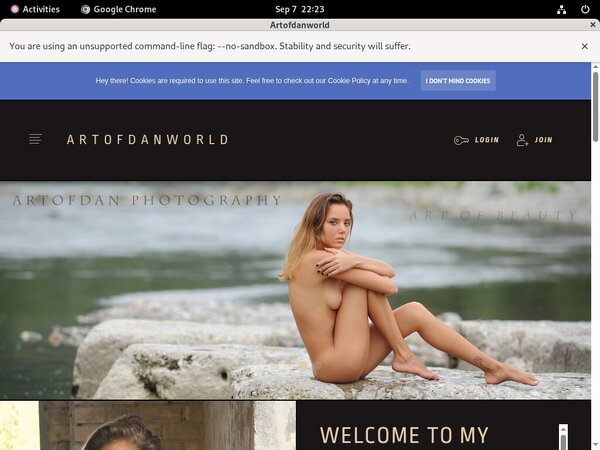 Artofdanworld Coupon Code