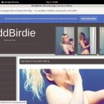 Baddbirdie.modelcentro.com Site Rip Link