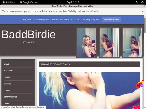 Baddbirdie.modelcentro.com Site Rip Link