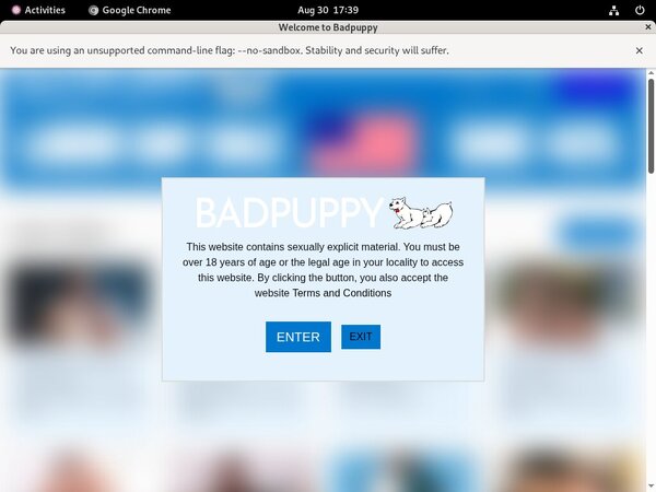 Badpuppy New Account