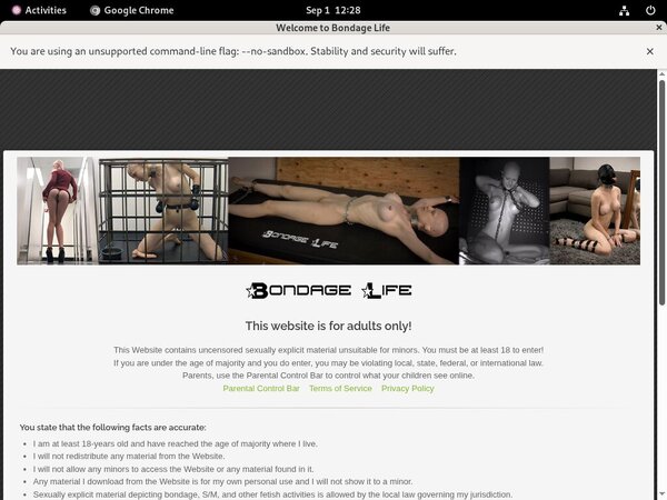 Bondage Life Working Pass