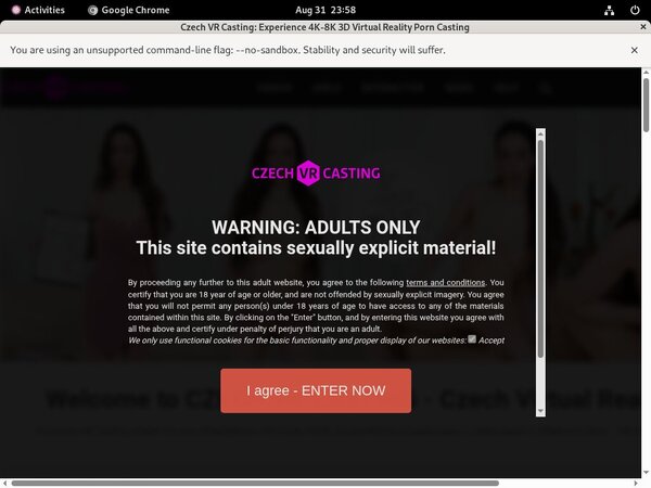 Czech VR Casting Discount Linkcode