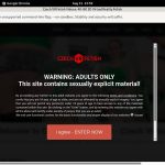 Czechvrfetish Logon