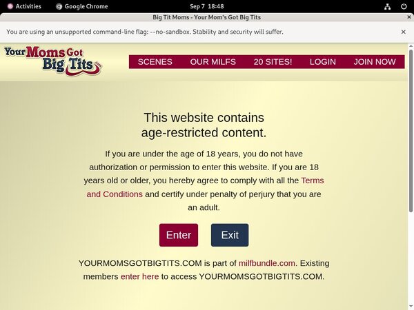 Discount Your Moms Got Big Tits Coupon