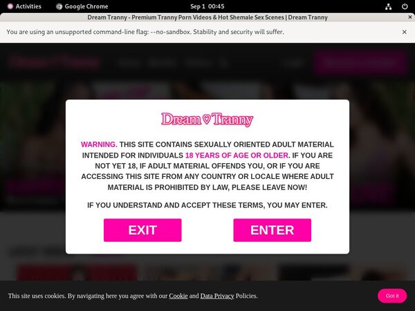 Dreamtranny Xx