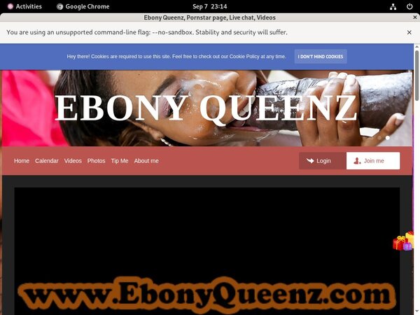 EbonyQueenz Account Paypal