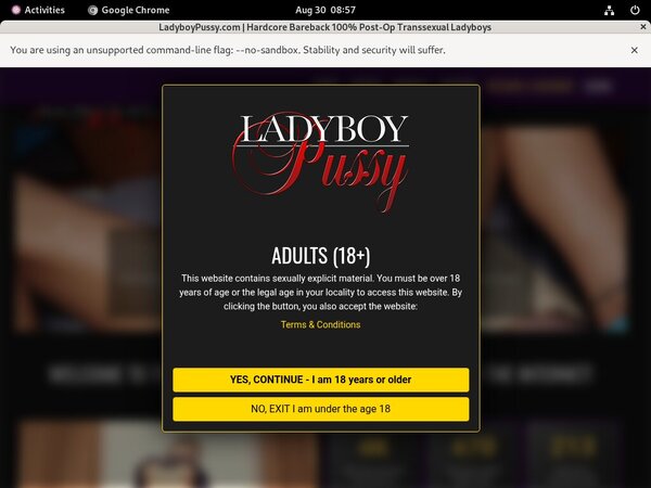 Free Account To Ladyboy Pussy