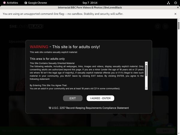 Free Full Shelovesblack.com Porn