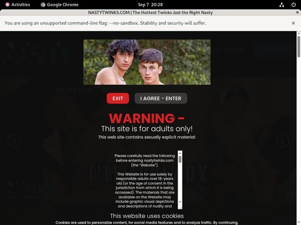 Free Password Nastytwinks