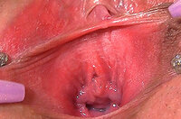 Gape My Pussy Videos s2