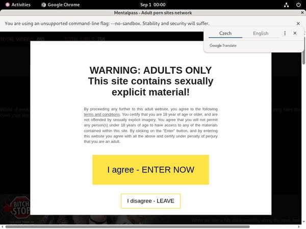 Gay Mentalpass