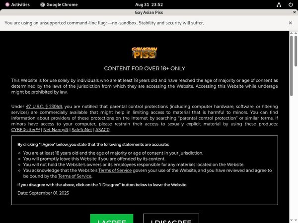 Gayasianpiss.com Discount Offer
