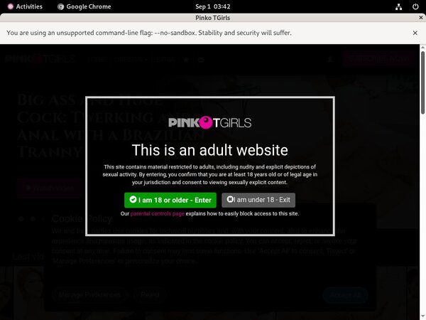 Get Into Pinkotgirls Free