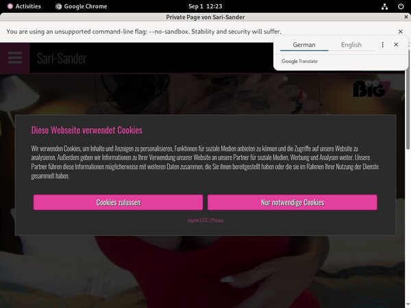 Get Sari Sander For Free Get Sari Sander For Free