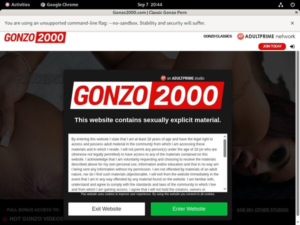 Gonzo 2000 With Amex