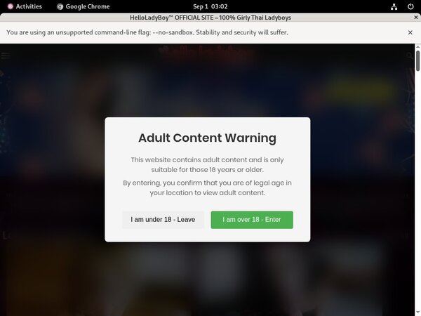 Hello Ladyboy Web Billing