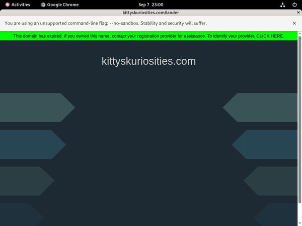 Kitty'sKuriosities Photo