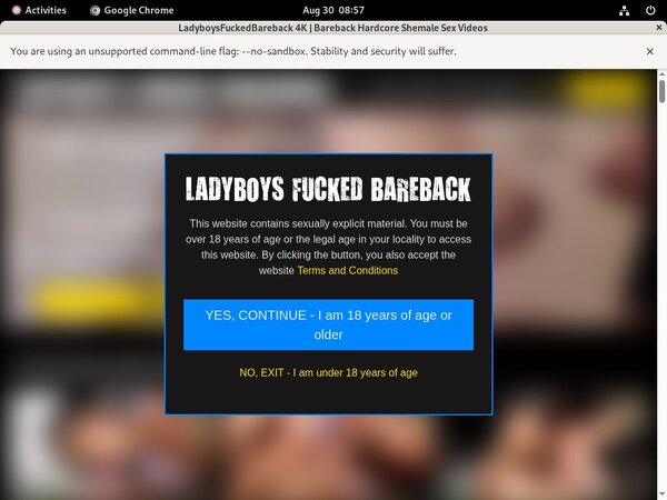 Ladyboysfuckedbareback.com Accounts And Passwords