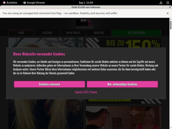 LindaKiss.com Account And Passwords
