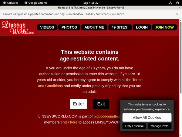 Linseys World Premium Accounts