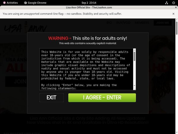 Lisa Ann Password Login