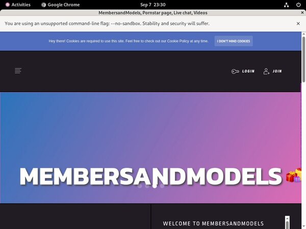MembersandModels Active Accounts