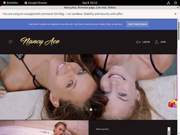 Nancy Ace Free Site