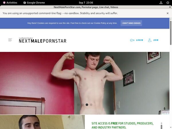 NextMalePornStar.com Alternate Payment