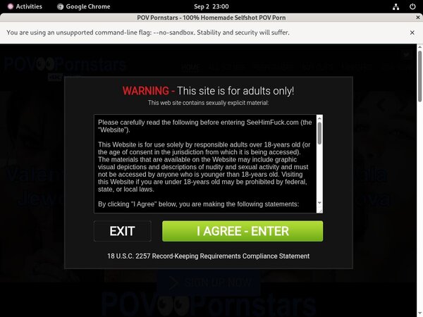 POV Pornstars Hacked Accounts