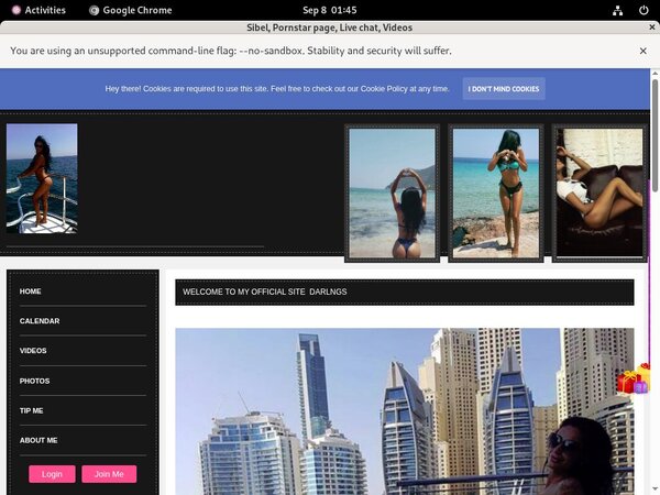 Paypal For Sibel Paypal For Sibel