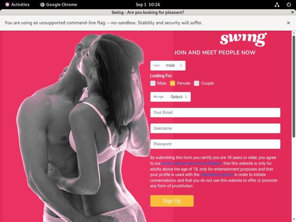 Paypal For Swing.net