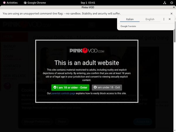 Pinkovod.com Free Full Videos Pinkovod.com Free Full Videos