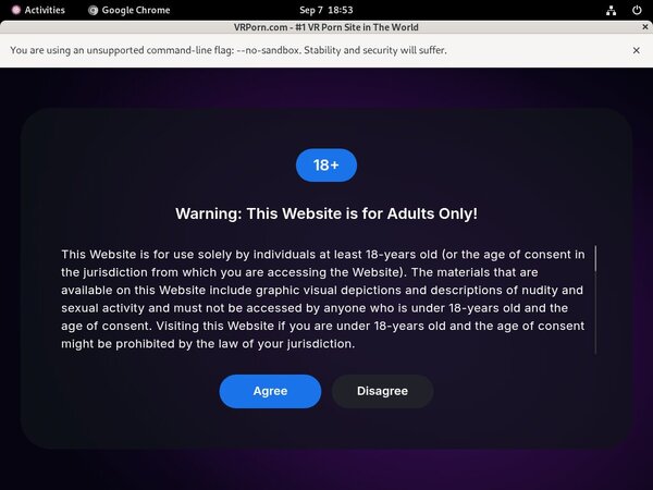 Reviews Vrporn.com