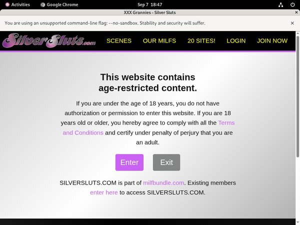 Silver Sluts Full Episodes