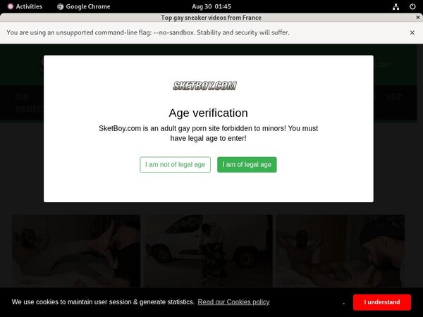 Sket Boy Login Ids