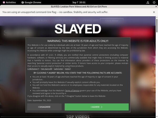 Slayed Full Website
