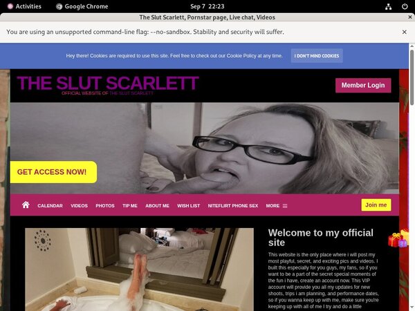 TheSlutScarlett Net