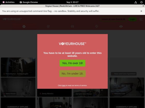 Voyeur House Adult